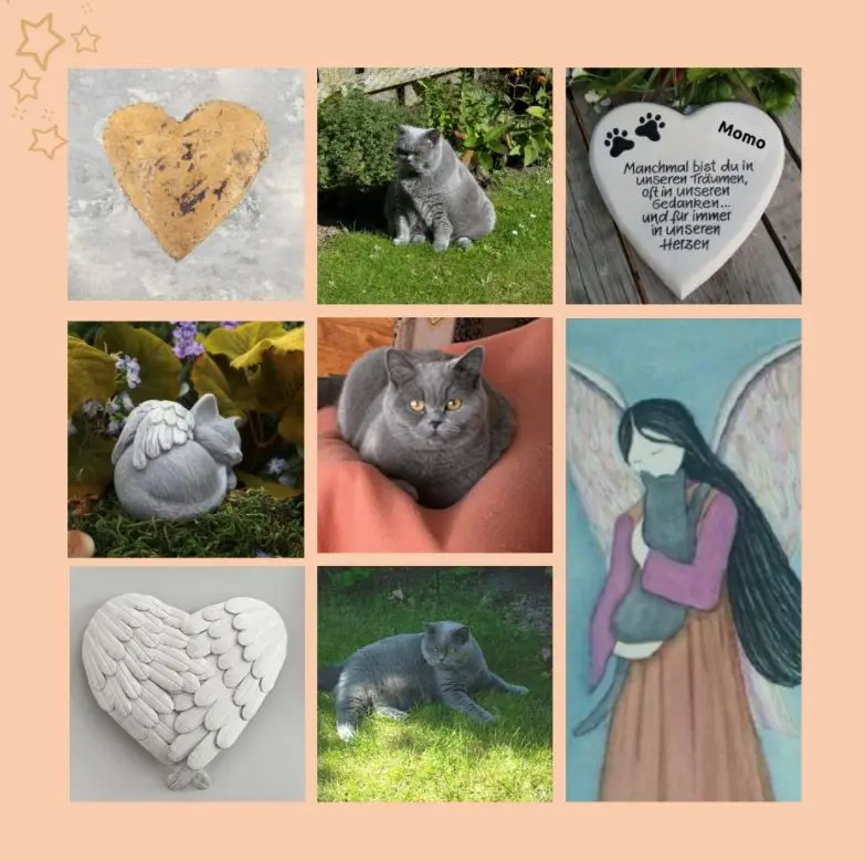 Andachtsbild von Rosen für Momo zum 7. Sternchengeburtstag