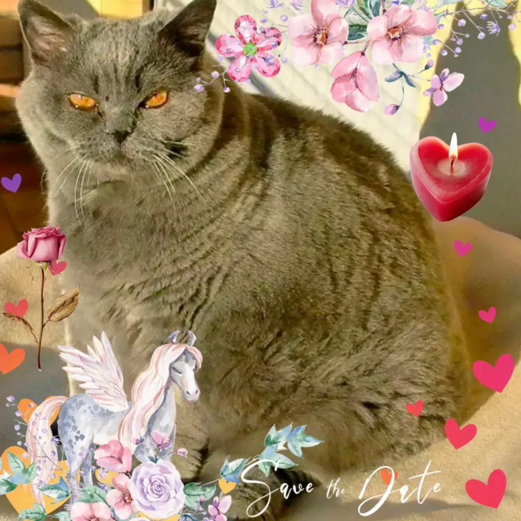 Andachtsbild von ❤️8. Sternchengeburtstag Momo❤️