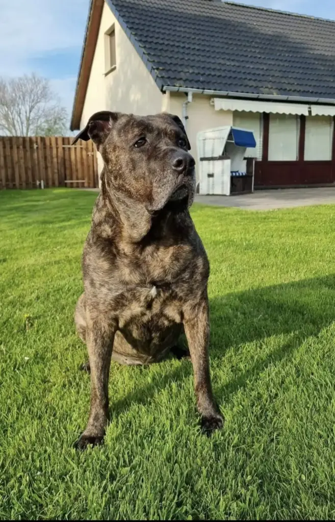 Andachtsbild von Melli von Maya