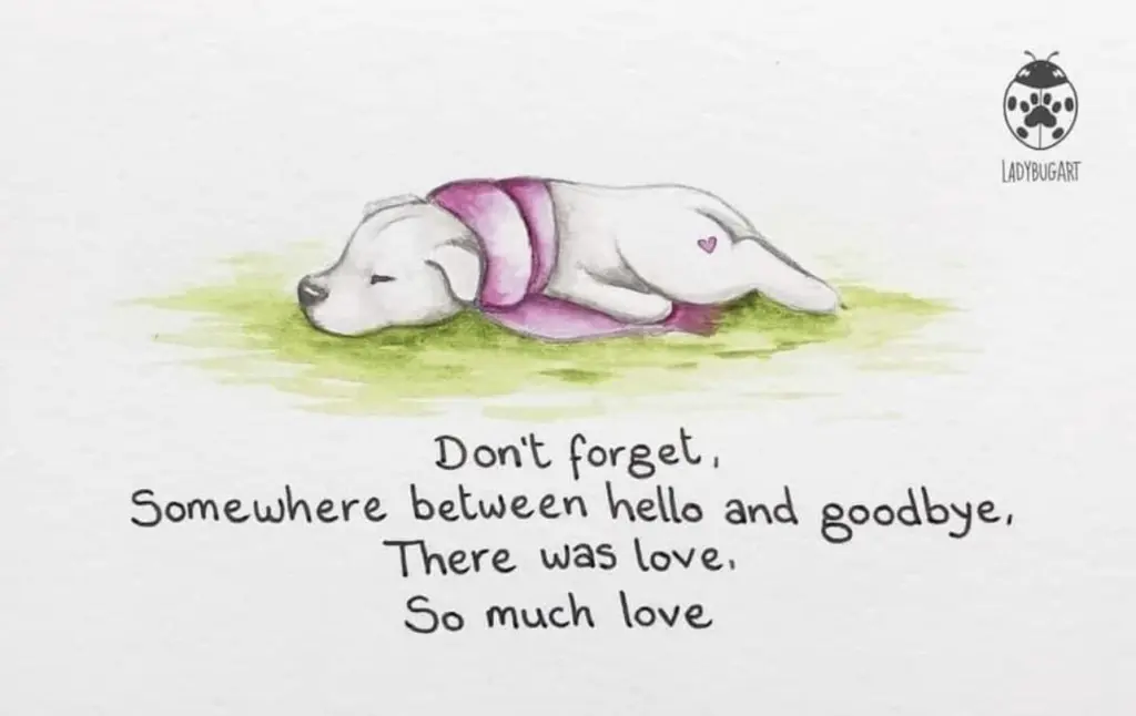 Andachtsbild von Christina 