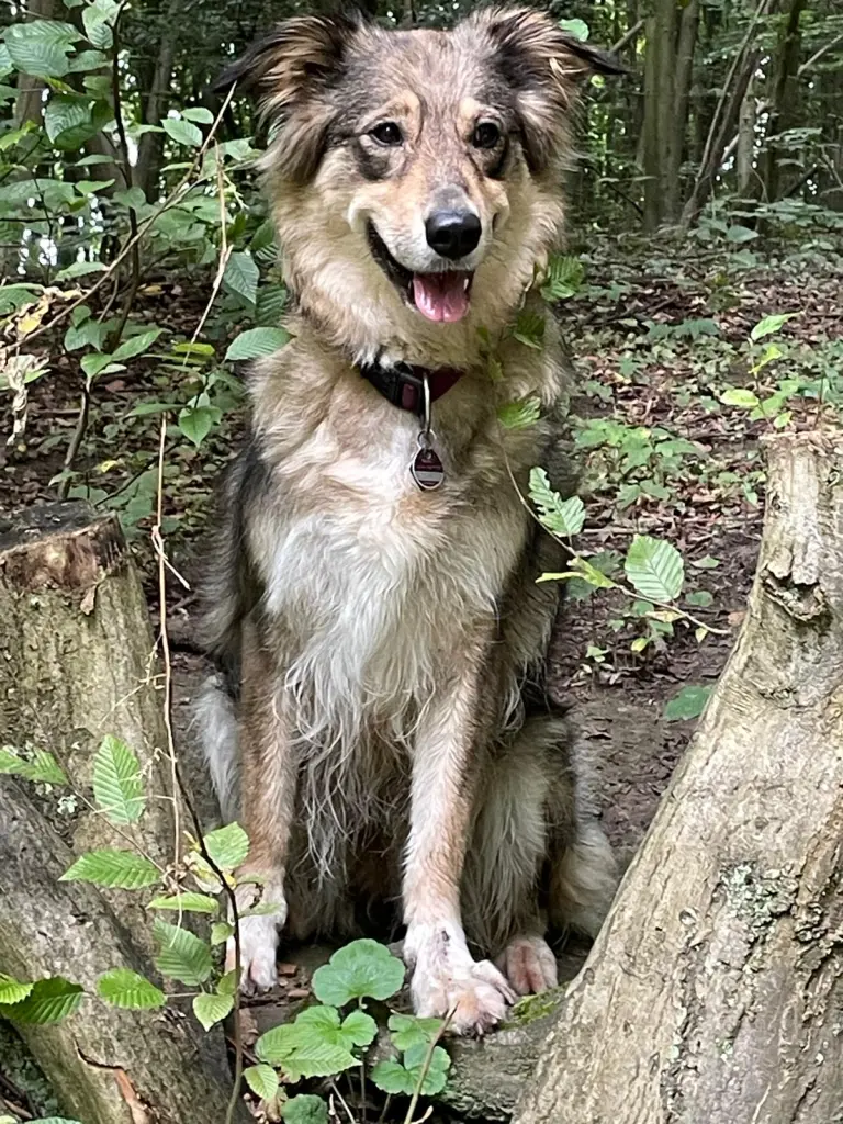 Andachtsbild von Doris