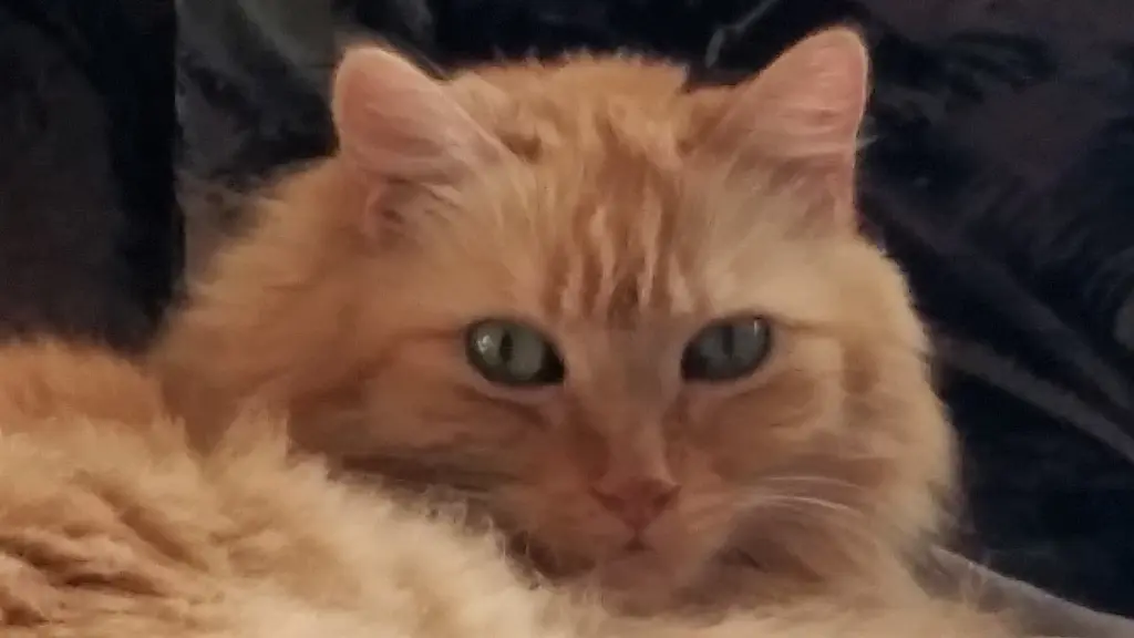Condolence image of Silke