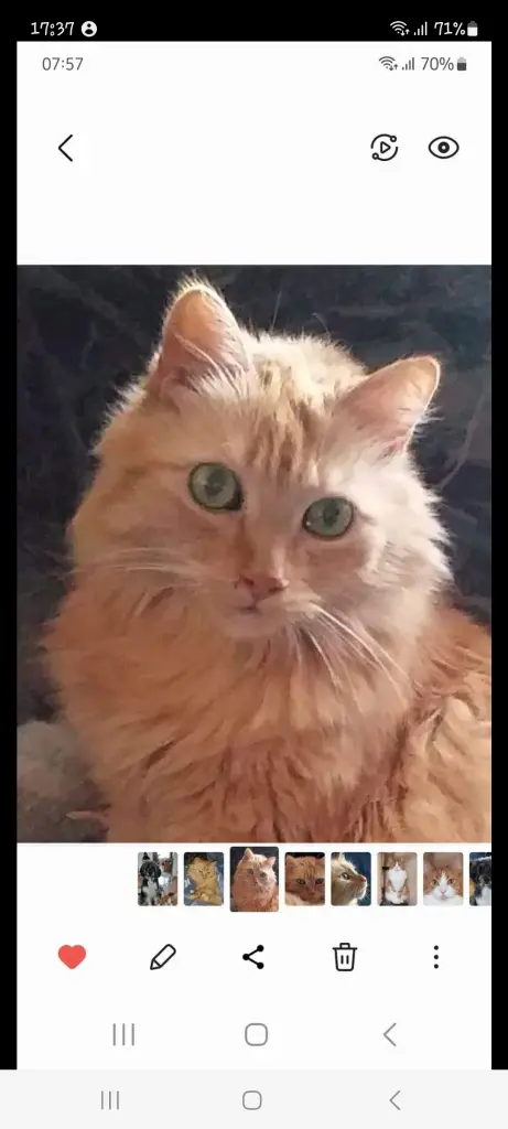 Condolence image of Silke