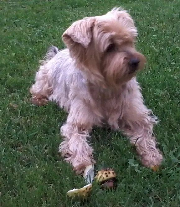 Andachtsbild von E&K mit Jacki♥️ tief im Herzen♥️ 