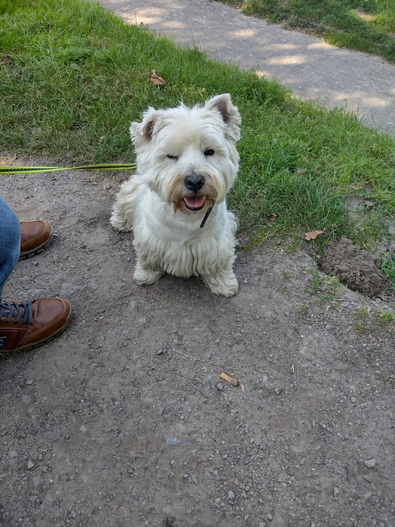 Andachtsbild von Monika Merlin u Quincy im Herzen