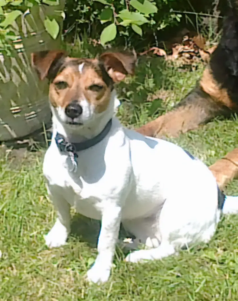 Andachtsbild von Elke 