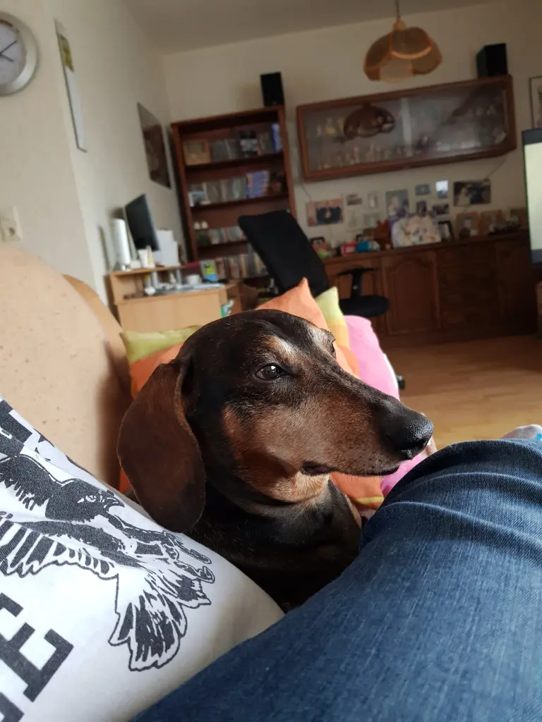 Condolence image of Verena