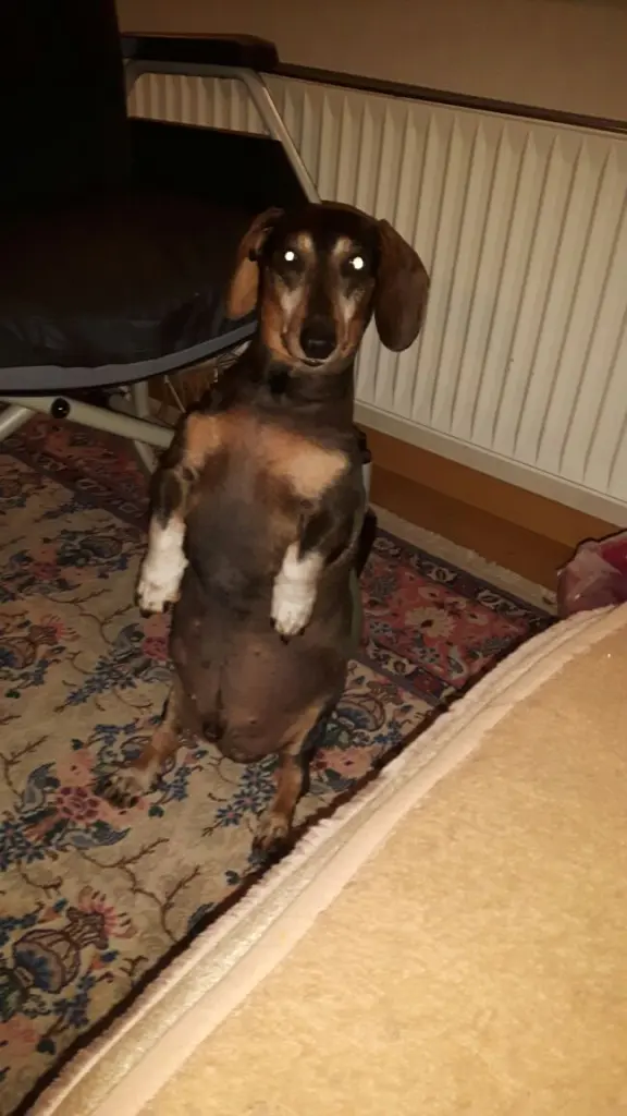 Condolence image of Franziska 