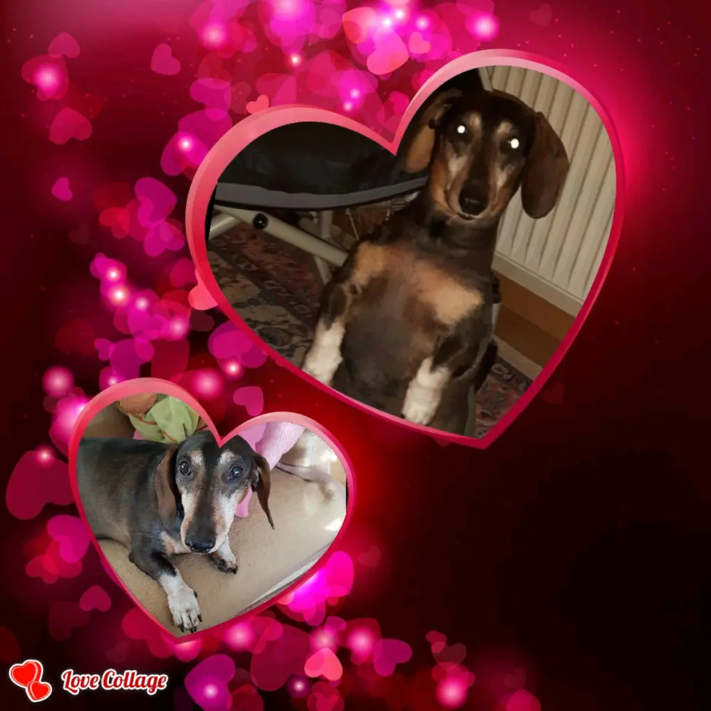 Condolence image of Verena 