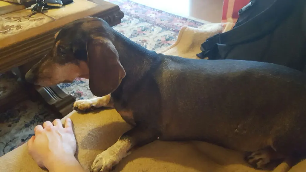 Condolence image of Franziska