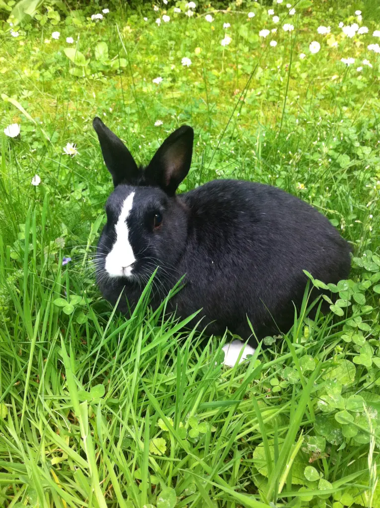 Condolence image of Unbekannt