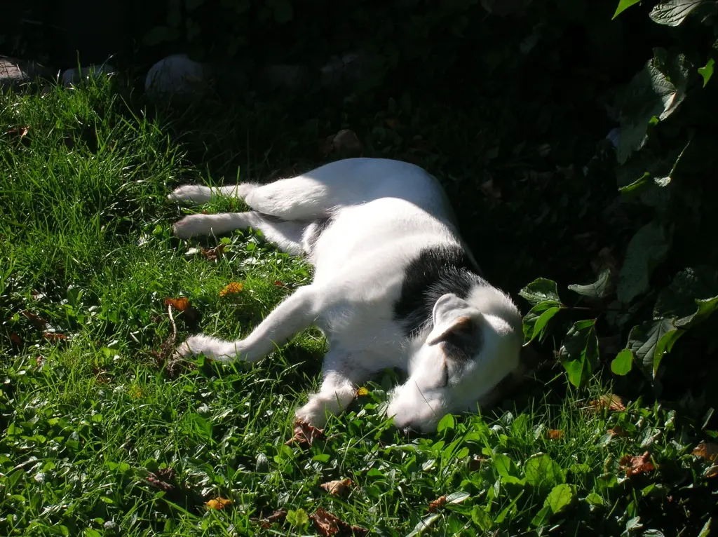 Condolence image of Ralf