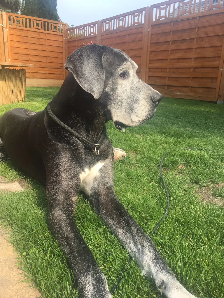 Condolence image of Jennifer mit Jaron im Herzen 