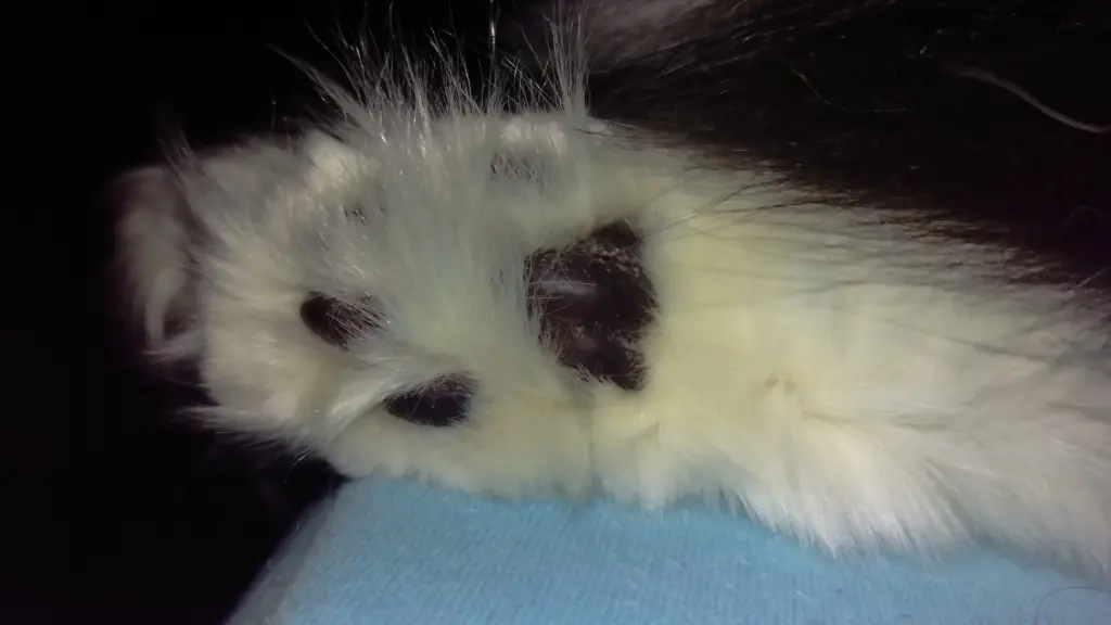 Condolence image of Miriam und Leia