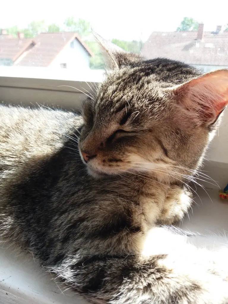 Condolence image of Unbekannt