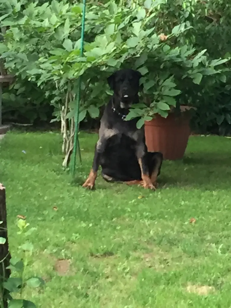 Condolence image of Unbekannt