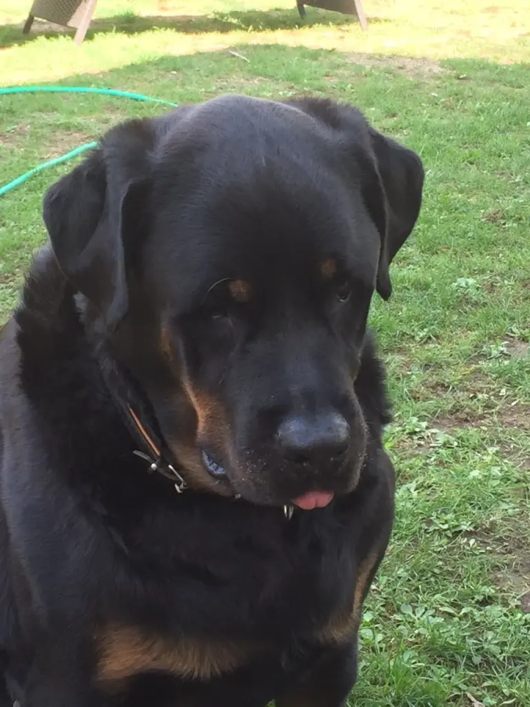 Condolence image of Karin