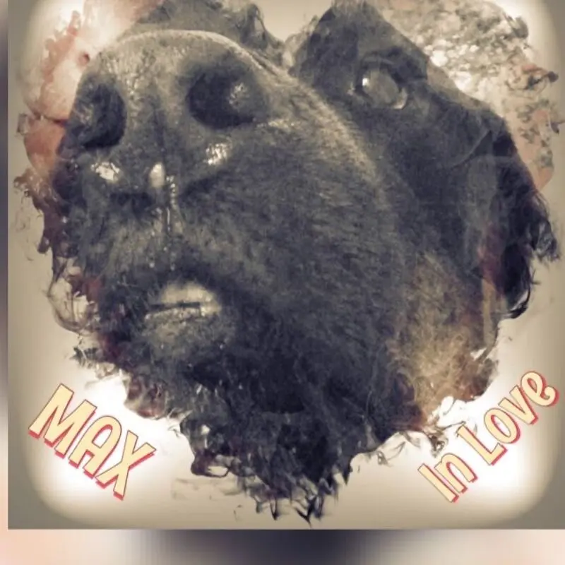 Condolence image of Karin