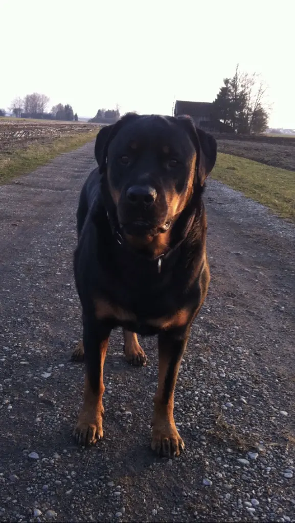 Condolence image of Karin 