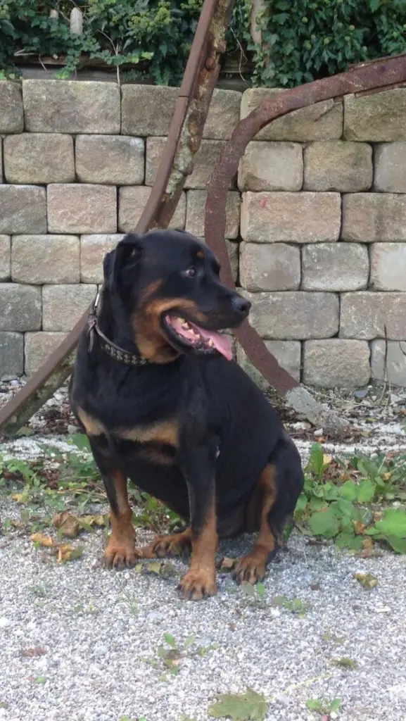 Condolence image of Karin  Kanzler