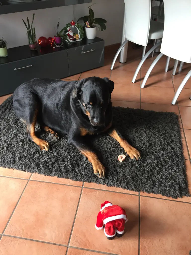 Condolence image of Karin und Thomas Kanzler