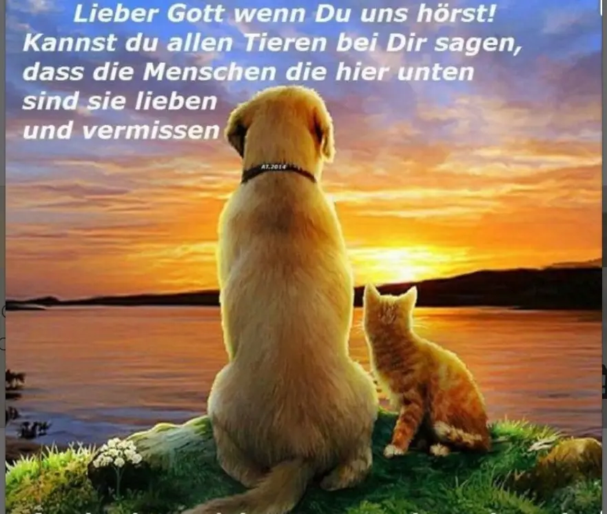 Andachtsbild von Ulla mit Trixi im Herzen ❤