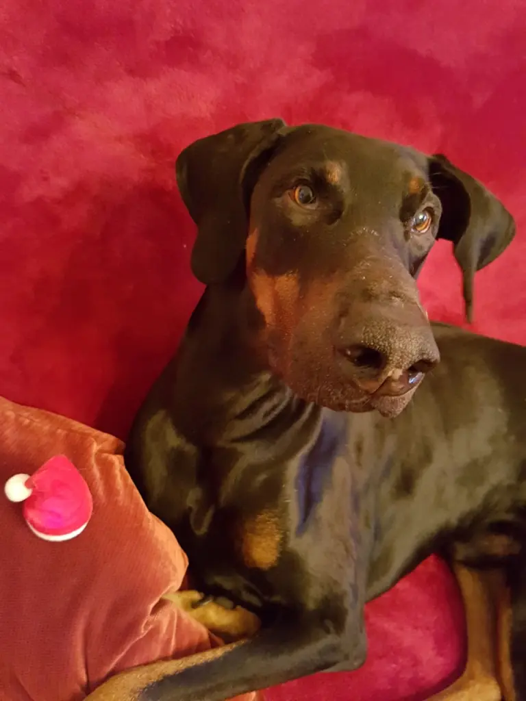 Condolence image of Arno