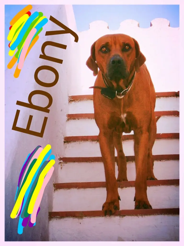 Condolence image of Britta