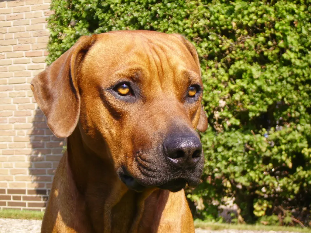 Condolence image of Britta