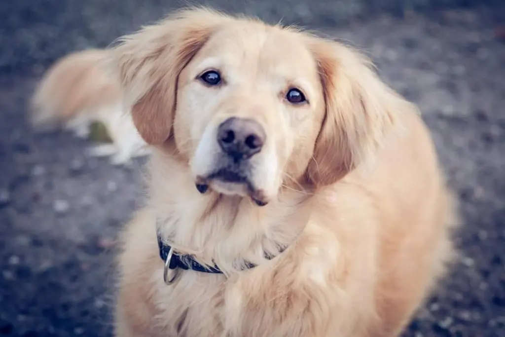 Condolence image of Anja