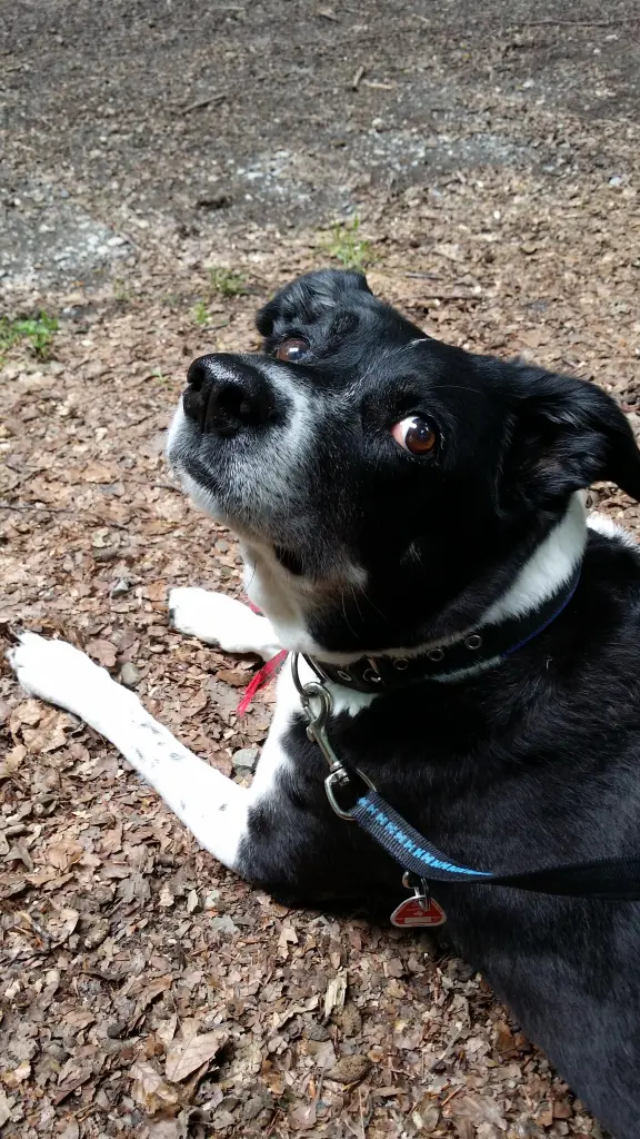 Condolence image of Elisabeth 