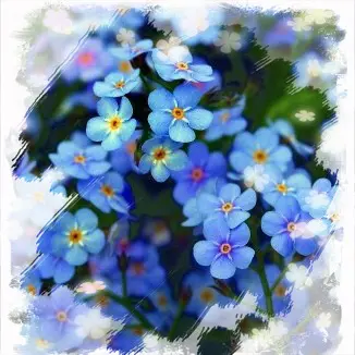 Condolence image of Ella