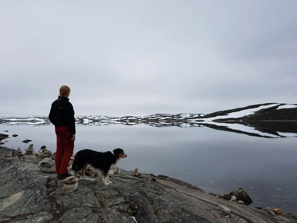 Condolence image of Birgit forever missing Naboo 