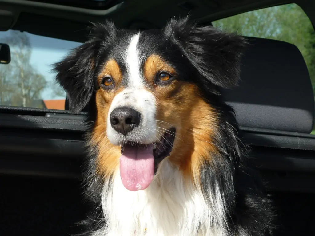 Condolence image of Birgit forever missing Naboo