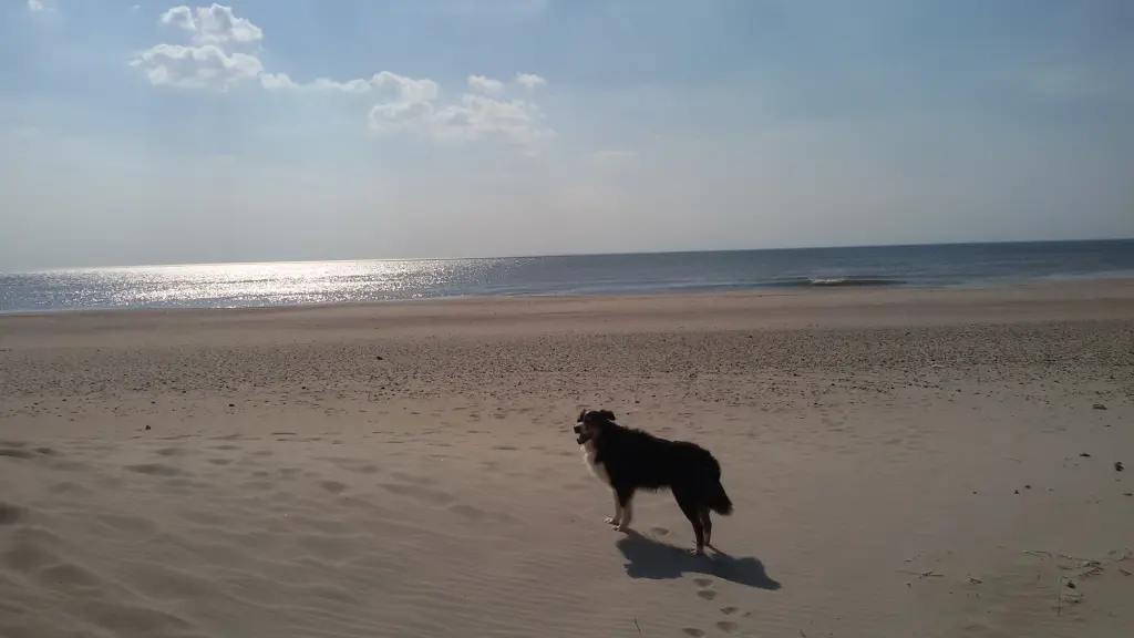 Condolence image of Birgit forever missing Naboo