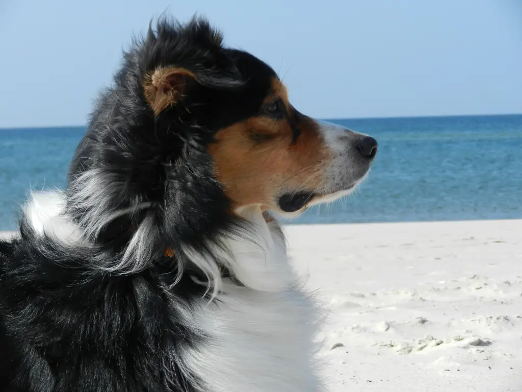 Condolence image of Birgit forever missing Naboo