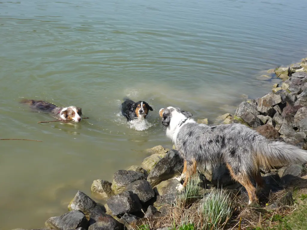 Condolence image of Uta