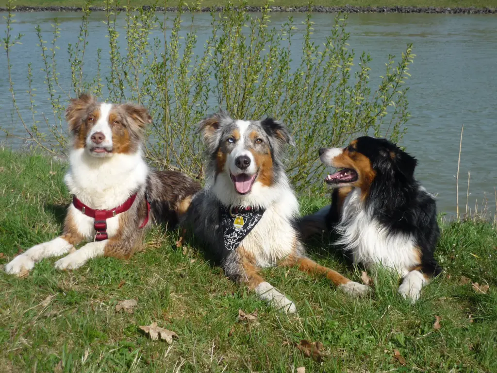 Condolence image of Birgit forever missing Naboo