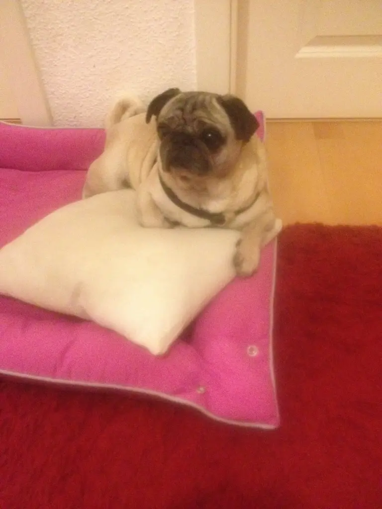 Condolence image of Kerstin