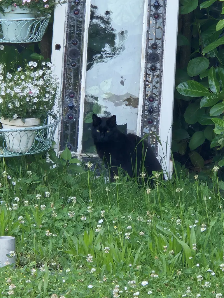 Andachtsbild von Ramona mit Henry ( Mini Man) im ♥️