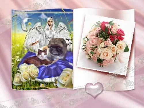 Image from WUSCHEL-BÄRLI UND SHEILA MEINE LIEBEN