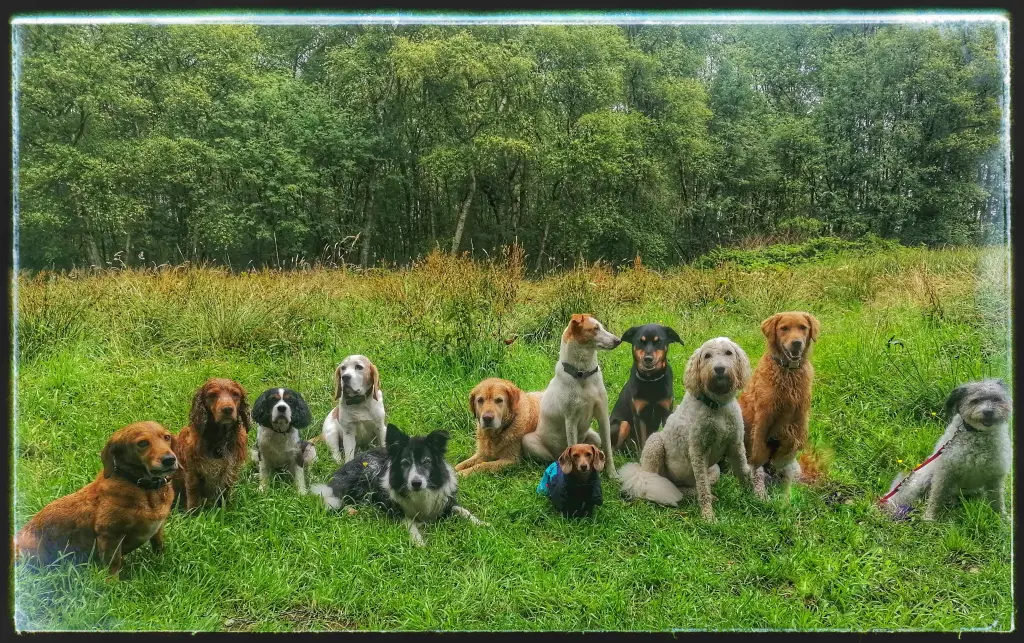 Andachtsbild von Michi & Monty 