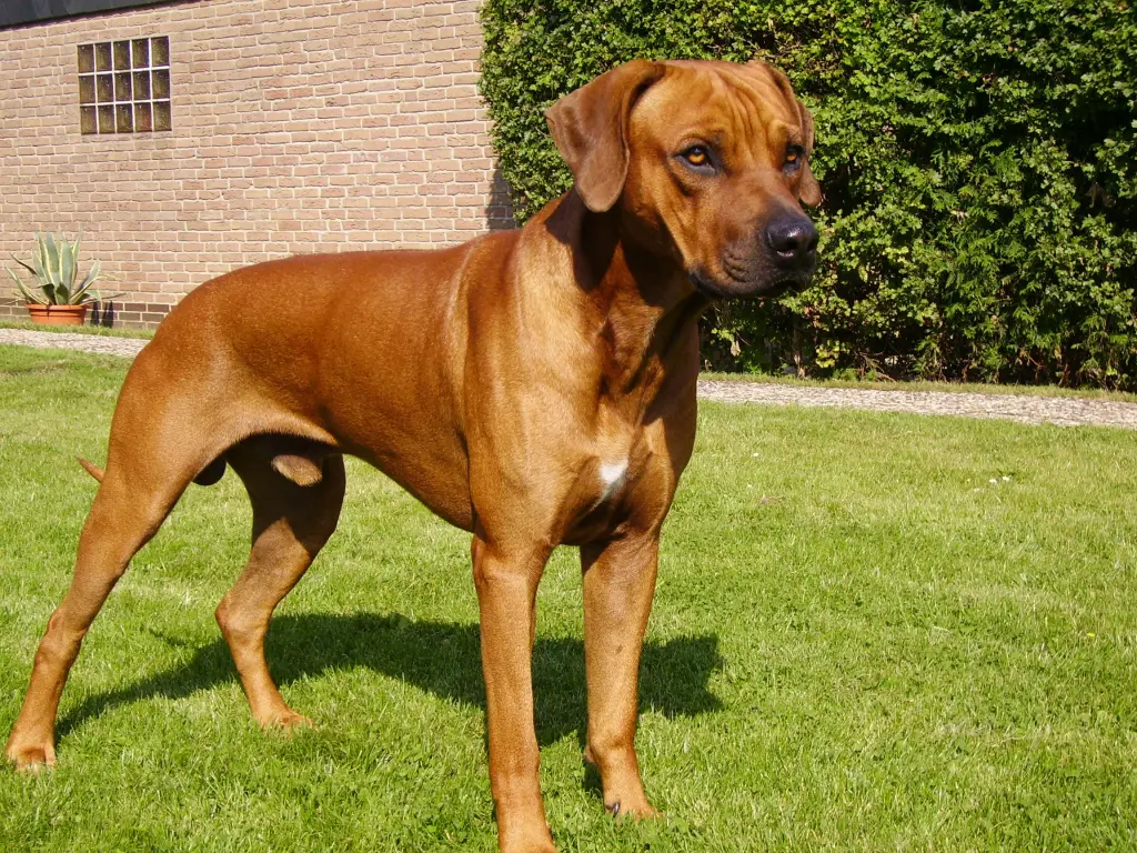 Condolence image of Britta