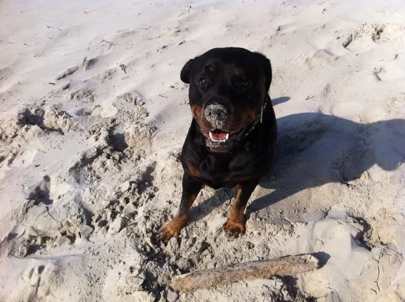 Condolence image of Stephan