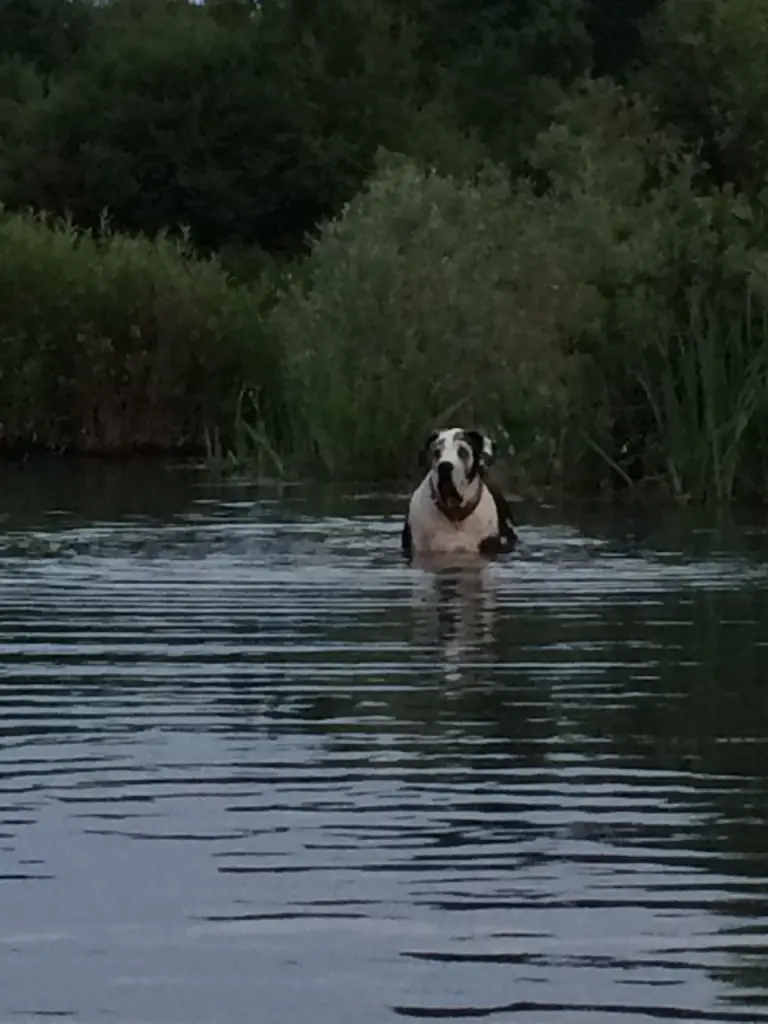 Condolence image of Esther mit Linu
