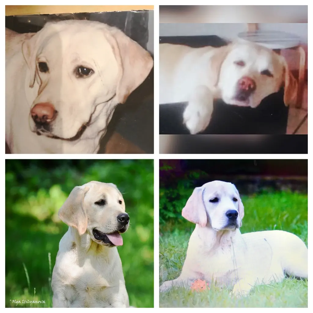 Condolence image of Angela