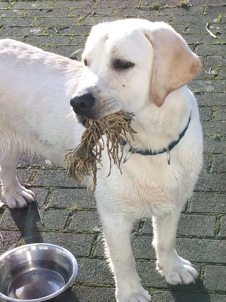 Condolence image of Angela 