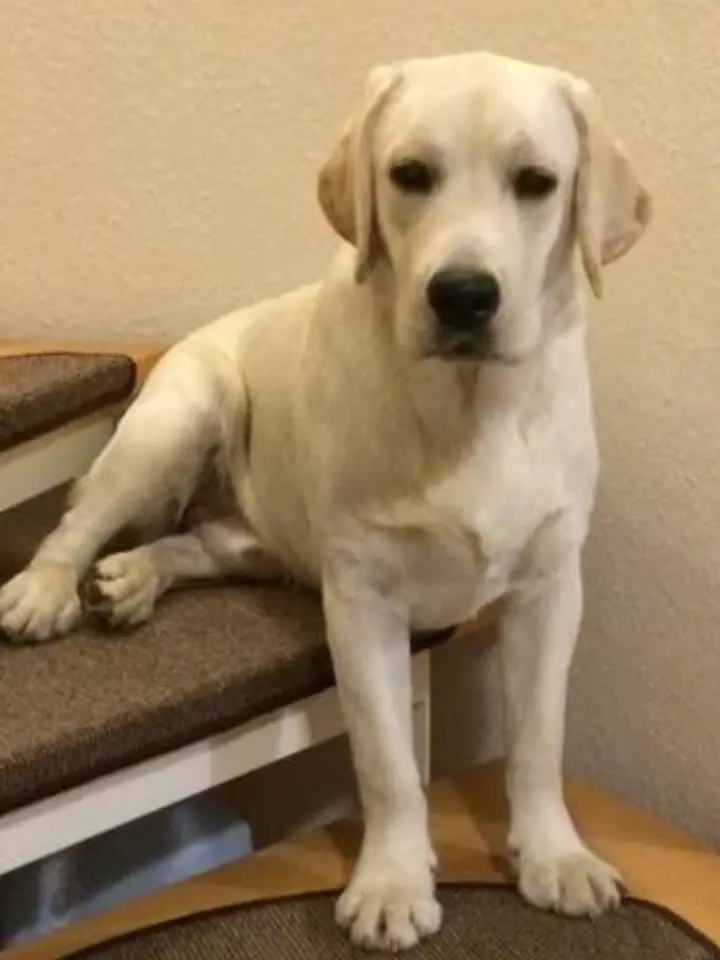 Condolence image of Angela