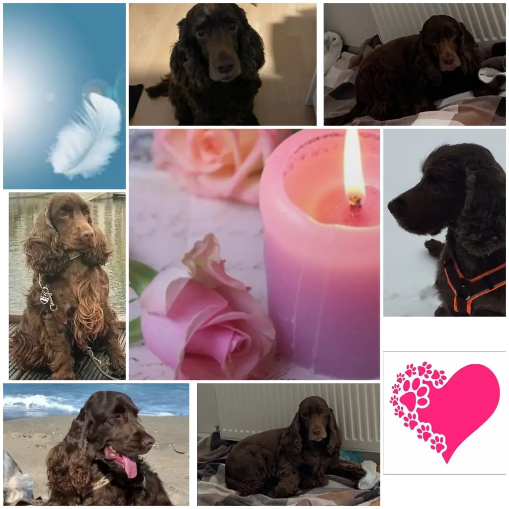 Condolence image of Kerstin mit Linus im ❤️