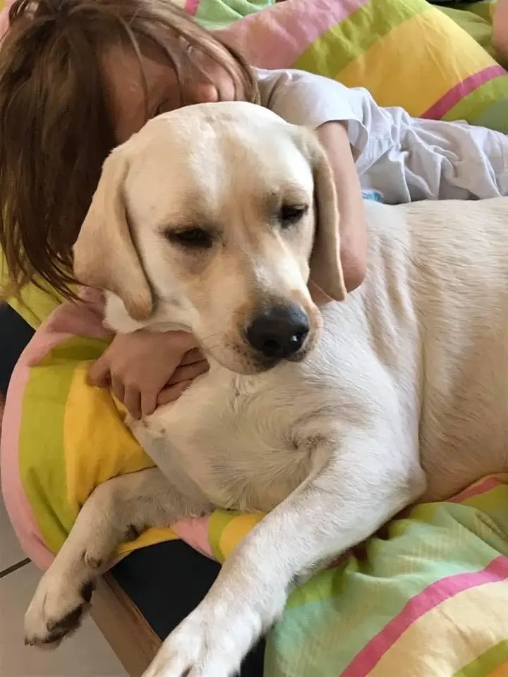 Condolence image of Angela 